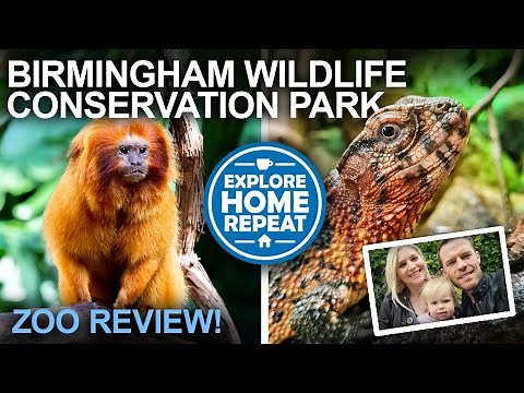 Uncovering a Hidden Gem | Birmingham Wildlife Conservation Park | Zoo Review & Tour