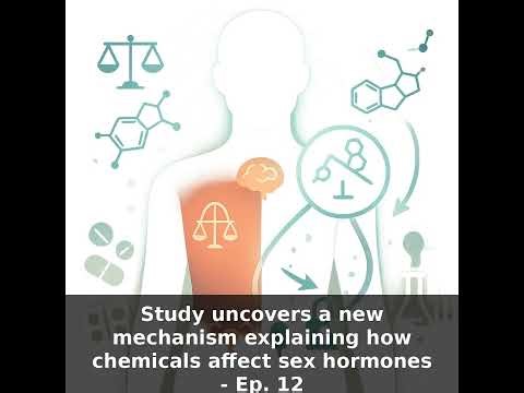 Endocrine Disruptors and Sex Hormones — New Science Explained