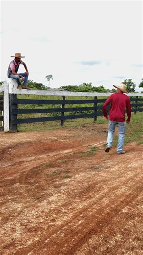 A Saga da Venda dos Bezerros: Histórias do Campo