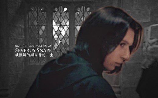 【Harry Potter】被误解的斯内普的一生