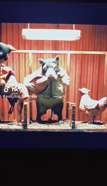 #stitch with @wildlife_alexis opossum problems #fantasticmrfoxedit #fantasticmrfox #opossumsoftiktok #opossum #wesanderson #animation #wildlife