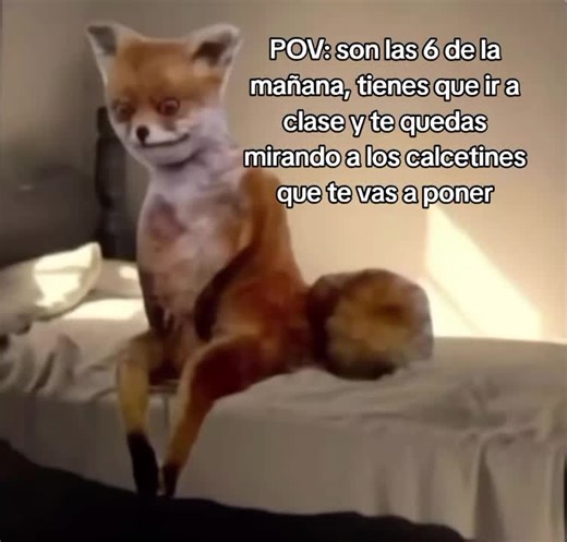 ¿Por qué no quiero ir a clase? 😭 Un meme relatable