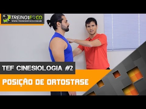 Posição de Ortostase - o que é? - TEF Cinesiologia # 2