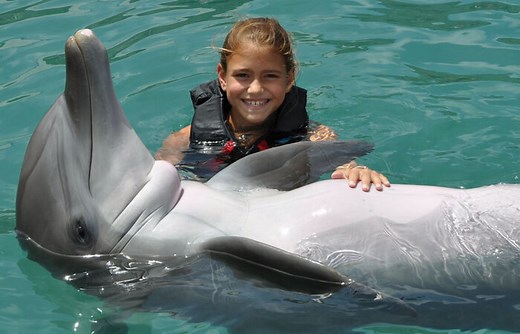 Dolphin Quest Bermuda | A Top Attraction in Bermuda