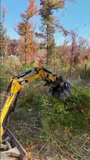 CID Excavator Tree Reaper