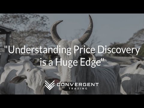 Understanding the Basics of Price Discovery & The Auction | Analogy of the Month