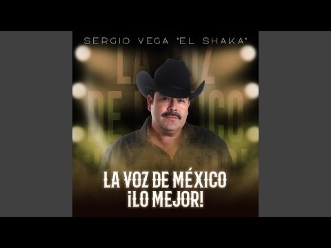 Quién Es Usted