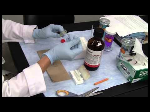 Coverslipping Using Permount