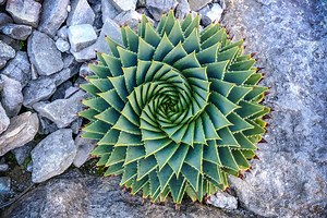 Streamlining compliance with IBM Cloud Infrastructure as Code and a shift-left approach | IBM