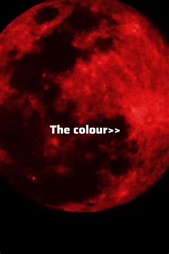 It's Just a Colour...🌚🌸