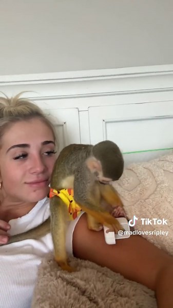 Hanging Out with a Monkey Uncensored - The Chill Side Revealed