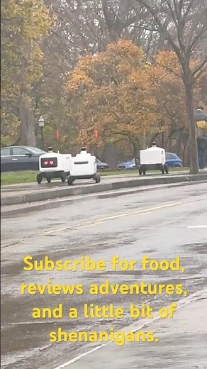 Food robots doing their thing delivering food in Columbus, Ohio at OSU University.