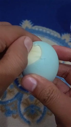 Telor asin dinosaurus #shorts #kuliner #visitkuliner #food