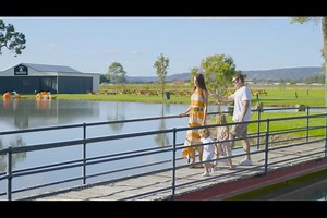 There are so many family attractions and delicious experiences to discover in the Swan Valley - just 25 minutes from Perth 🌞 Plan your next visit at swanvalley.com.au | Swan Valley, Perth Western Australia