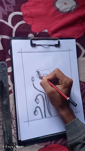 ‎flower sketch ll Poppy ll day 243/365 #sketch #flower #shorts