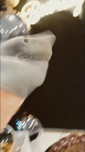 Shark Puppet Bappy Birthday 400 videos