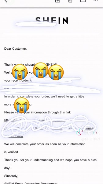 Understanding Shein Risk Control Verification Process