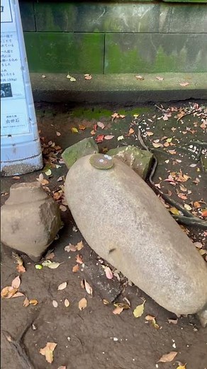 雪ヶ谷八幡神社：歴史ある鎮守の森。桜に彩られた八幡宮を歩く。 Walking the Historic Yukigaya Hachiman Shrine.