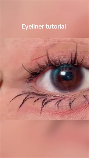 One video to teach you #eyeliner #eyelinertutorial #makeuptips #satisfyingvideo #makeup