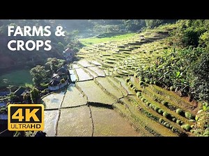 4K HDR Aerial View; Farms; Farmland; Crops; Green Nature; Relaxing Calming Peaceful Piano Music