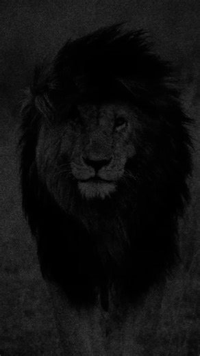 Inspiring Manthra Quote for Motivation