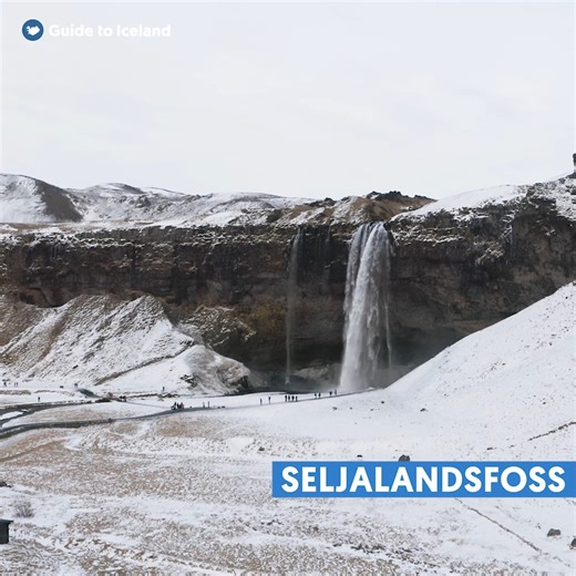 4.9K views · 741 reactions | Winter by one of Iceland's most famous waterfalls, Seljalandsfoss ☃️朗 Check out our selection of waterfall tours and discover some of Iceland's most beautiful gems: https://guidetoiceland.is/book-trips-holiday/nature-tours/waterfalls | Guide to Iceland | Facebook
