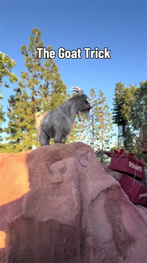 My favorite thing on my favorite ride! #disney #disneyland #bigthundermountain