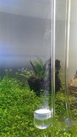 クリスタルアクア CO2拡散器 - クリアCO2ディフューザースーパーミスト バブルカウンター・逆止弁一体型 高圧用 アクアリウム・水草水槽育成用
