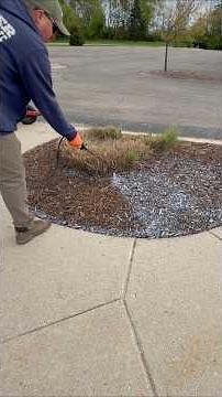 Does Your Mulch Keeps Moving? Try This #landscaping