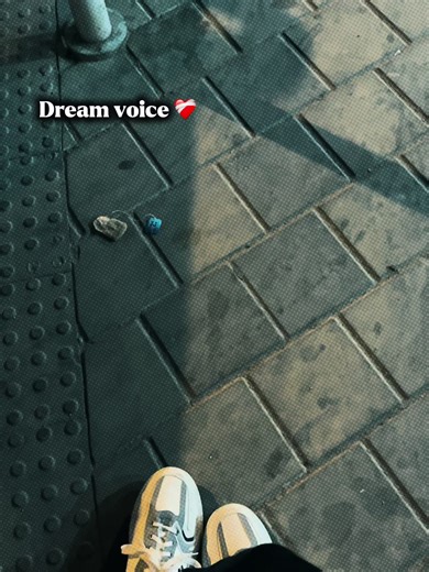 Dream voice ❤️‍🩹 #foryou_ #foryoupage #trending_ #vairal_ #1million_tik_tok