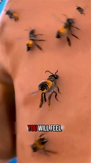 107K views · 2K reactions | Why does a honey bee die after stinging? | Guspent | Facebook