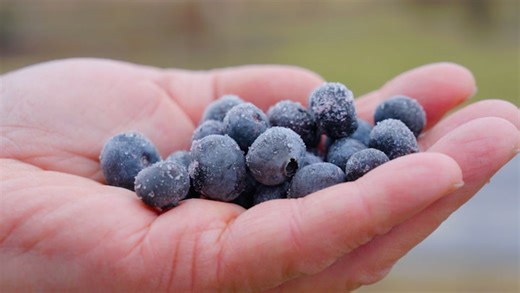 Should organic food be so expensive?
