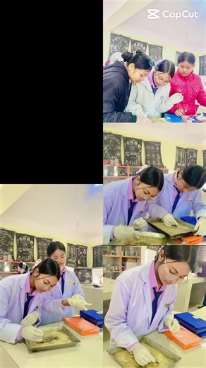 Dissecting an Earthworm: A Biology Practical Guide