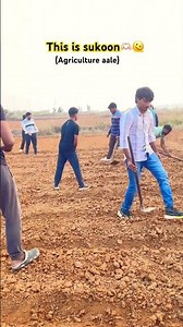 Bsc.Agriculture Field work 🤭🥲🫠 #farming #icarcollege #agriuniversity #iarijharkhand