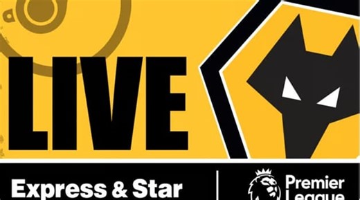 Wolves 0 Sunderland 1: Black Cats red card for hair pull - Live