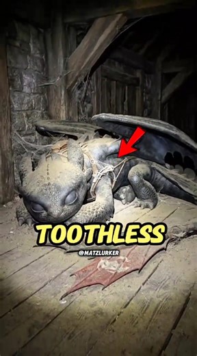 What Happened After He Found Toothless Alone? 😳🐉