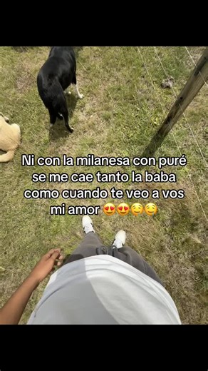Milanesa y amor: la combinación perfecta