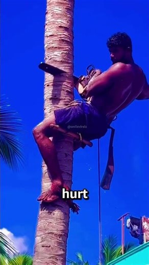 Why He Cuts a Notch First🌲