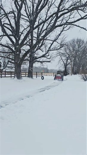 The little Ford 8N still plowing snow after all these years