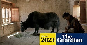 ‘They’d never seen sliced bread’: how a tiny film about Himalayan yak-herders conquered the world