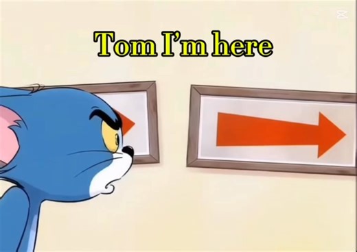 Dear Bride, I'm here 🫣 | Stitch-স্টিচ