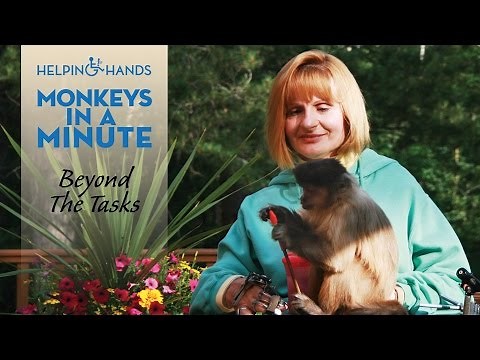 Sharing life with a service monkey - Monkeys in a Minute