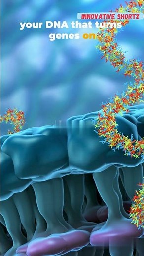 What is Epigenetics? (Your Genes Are NOT Your Destiny)