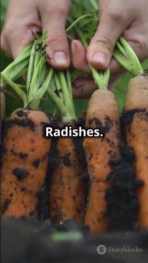 10 Vegetables to Plant in November for a Cozy Fall Garden! 🌱🍁 #garden #gardenproduce #gardeningtips