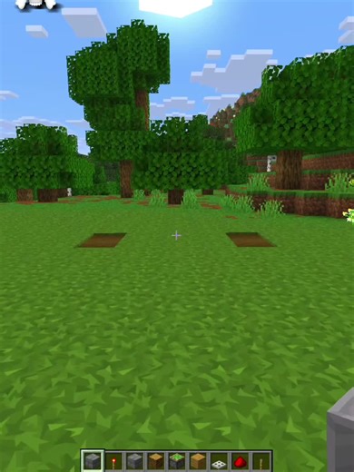 Creating a Functional Garage Door in Minecraft