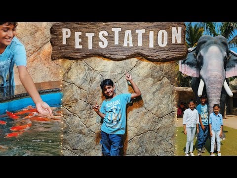 Petstation : The Must-Visit Spot in Mattool | Kannur