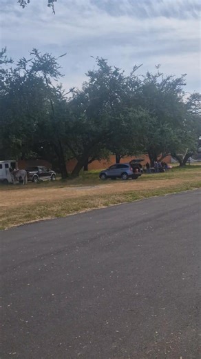 6.3K views · 218 reactions | #GuadalajaraTaurina2025 Desde l Plaza Nuevo Progreso . Venga el Arte!  ퟵ헮 헖헼헿헿헶헱헮 • 헧험헠헣헢헥헔헗헔 헚헥헔헡헗험 • ️Plaza Nuevo Progreso ️ Domingo 09 Noviembre ⏰ 4:30 PM ✨ Cartelazo para el siguiente festejo en #GUADALAJARA  Compra ya tus boletos en: Taquillas de la plaza y accede también a todas las promociones desde emsa.mx y superboletos. #TOROSENGDL #GDL | Ramonete Toros Ole | Facebook