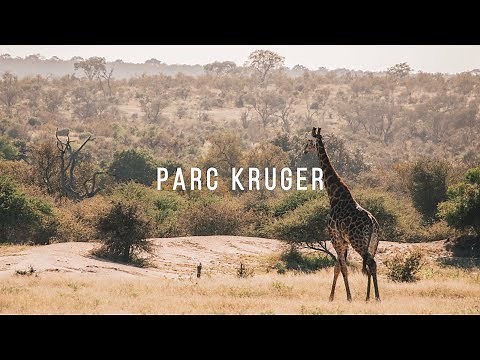 SAFARI to KRUGER Park | South Africa 1/2