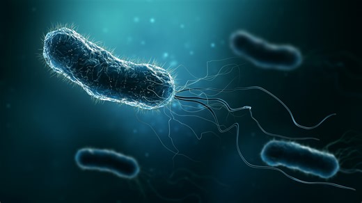What is food poisoning? What you need to know about E. coli, listeria caused illnesses