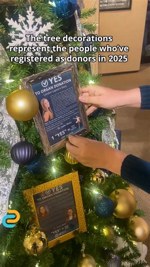 The Trees of Diversity Exhibit features trees decorated to represent different countries, ethnic backgrounds, and traditions. DonorConnect is honored to participate this year with a tree representing all of those impacted by organ, tissue, and eye donation. The exhibit is open at the Pilar Pobil Celebration Gallery at the Utah Cultural Celebration Center in West Valley today until Dec. 31. | DonorConnect